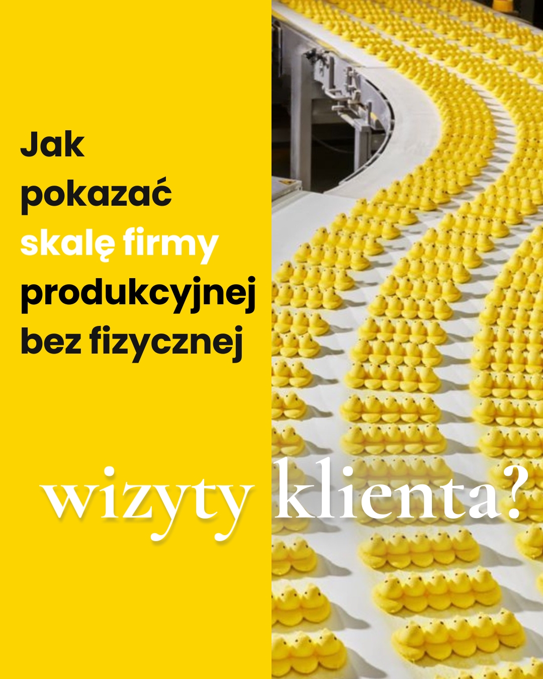 produkcja, linia produkcyjna, wielkość produkcji